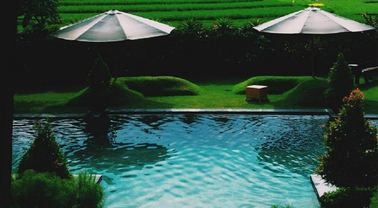 Ngeluwungan Boutique Hostel チャングー エクステリア 写真
